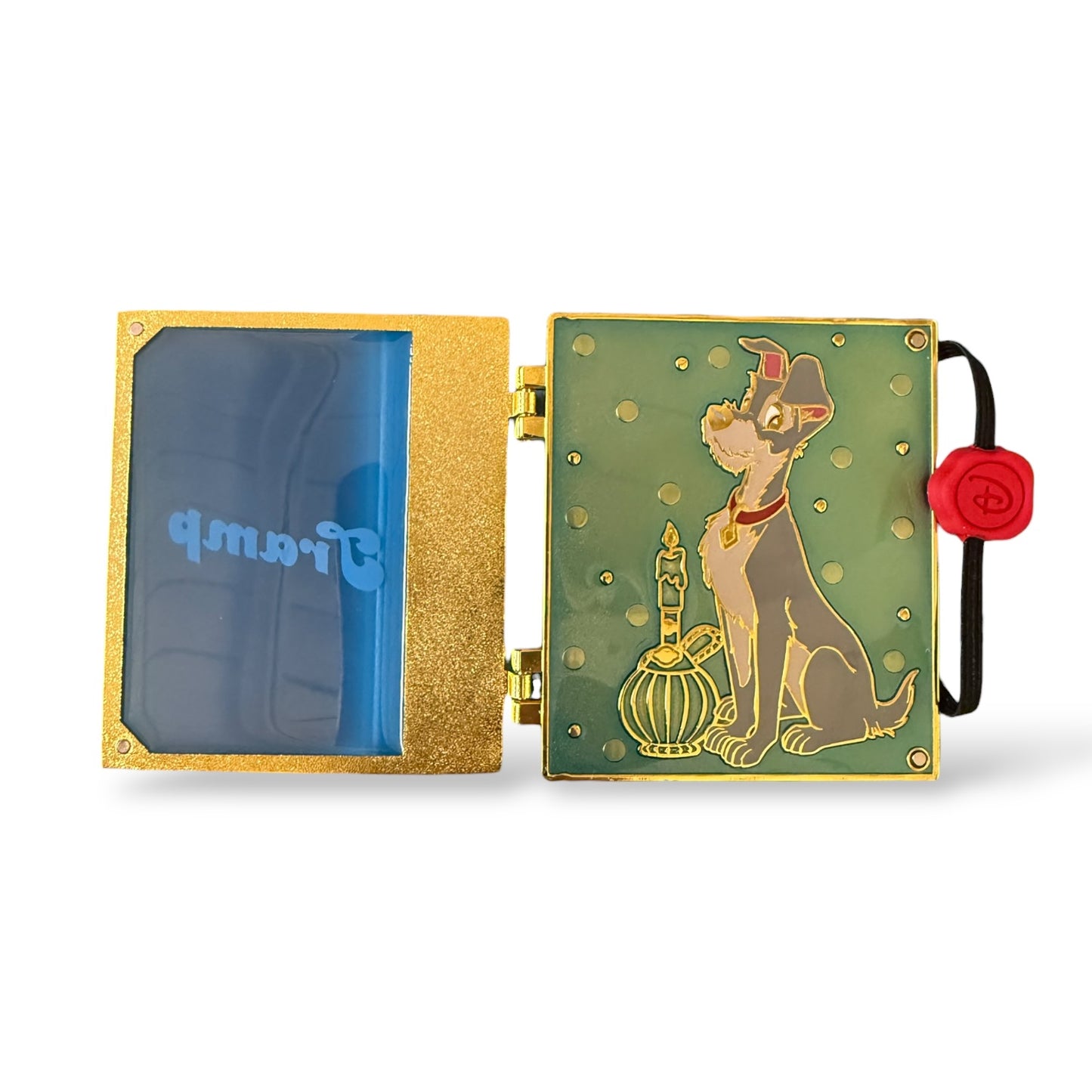 HKDL Magic Access Exclusive Jumbo Book Tramp Pin