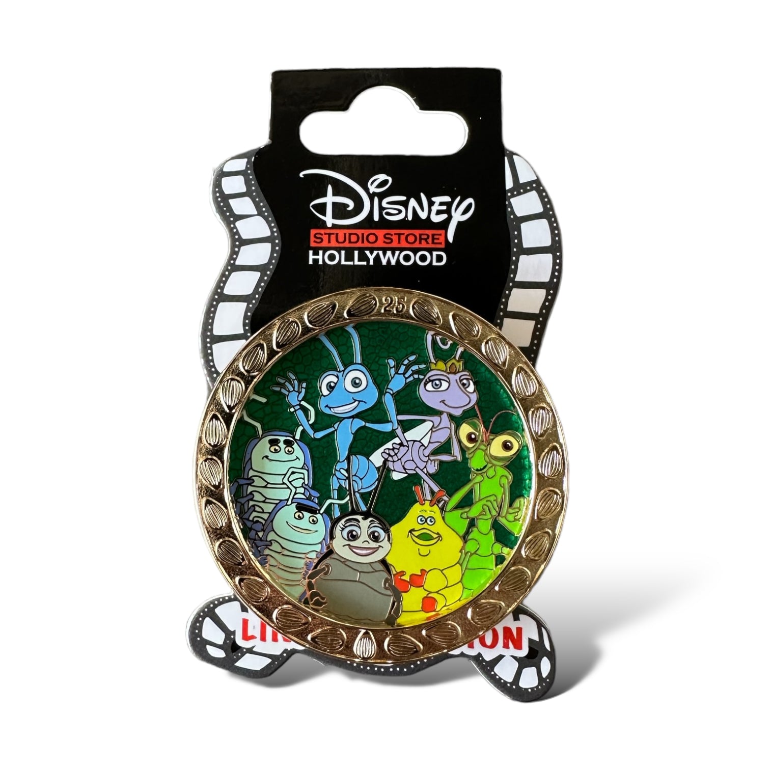 Disney DSSH top Pin