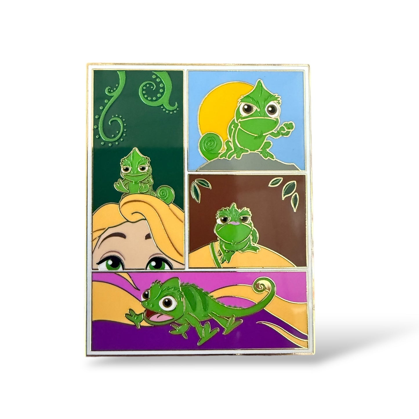 DSSH Tangled Photographs Pascal Pin