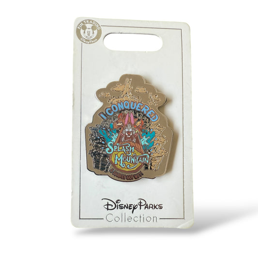 Disney Parks I Conquered Splash Mountain Brer Rabbit, Brer Bear, Brer Fox Pin