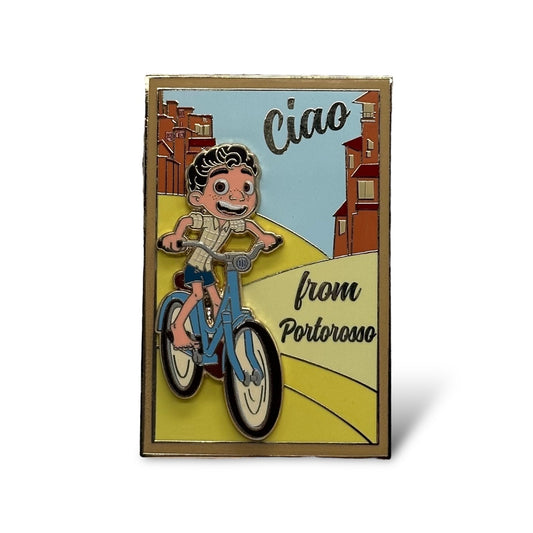 DSSH Postcard Luca Pin