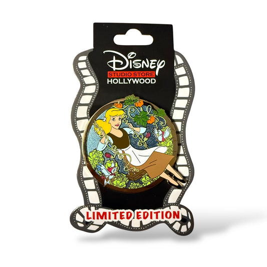 DSSH Spring Swings Cinderella Pin
