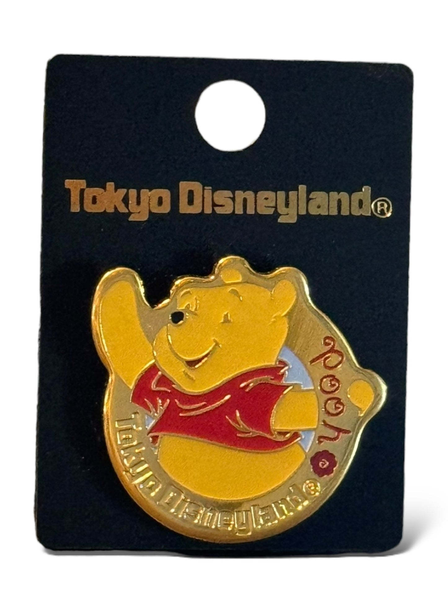 TDR Gold Circle Pooh Pin