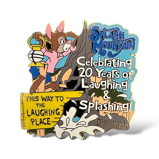 DEC 20th Anniversary Splash Mountain Pin