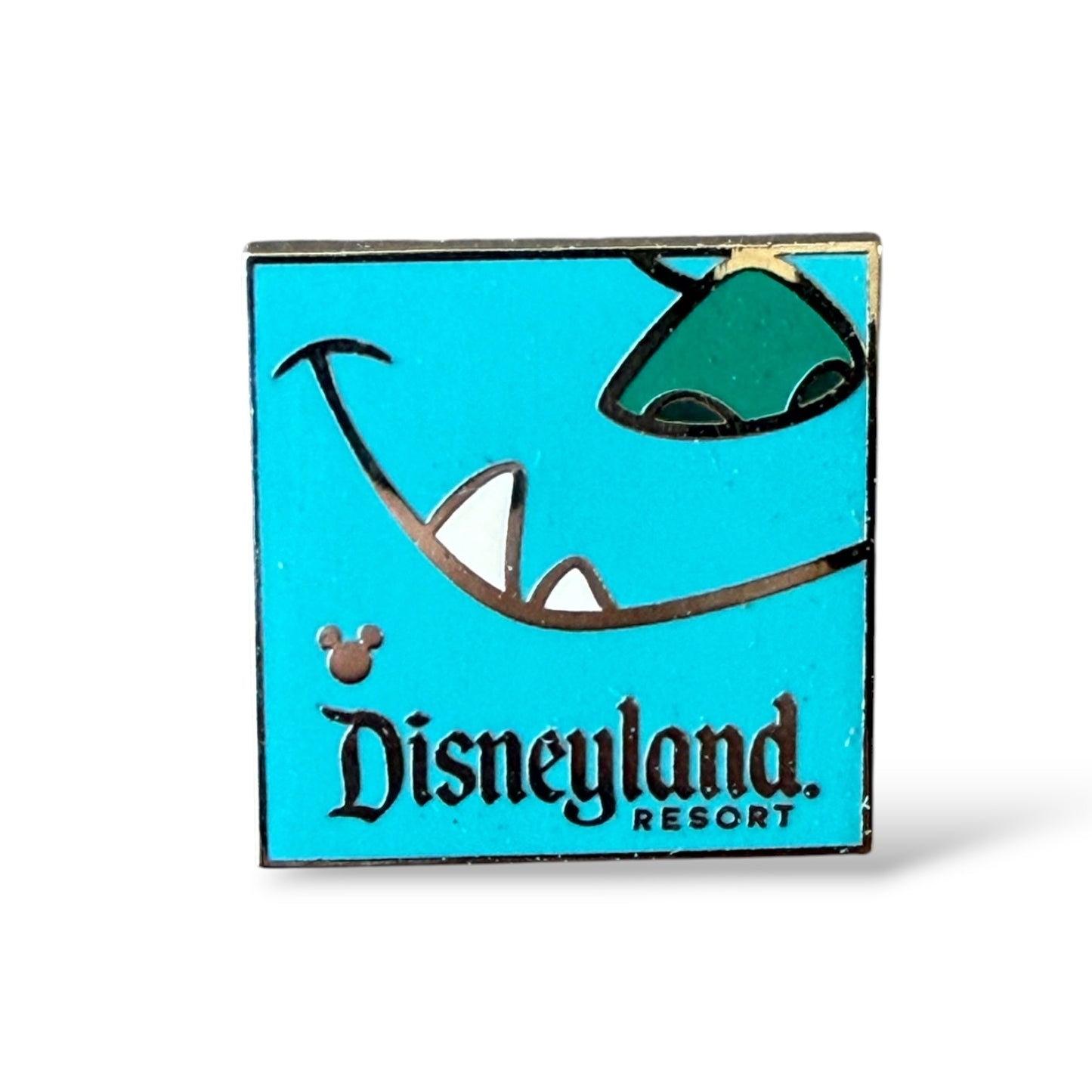 Cast Lanyard Just Got Happier Sulley Hidden Mickey Pin