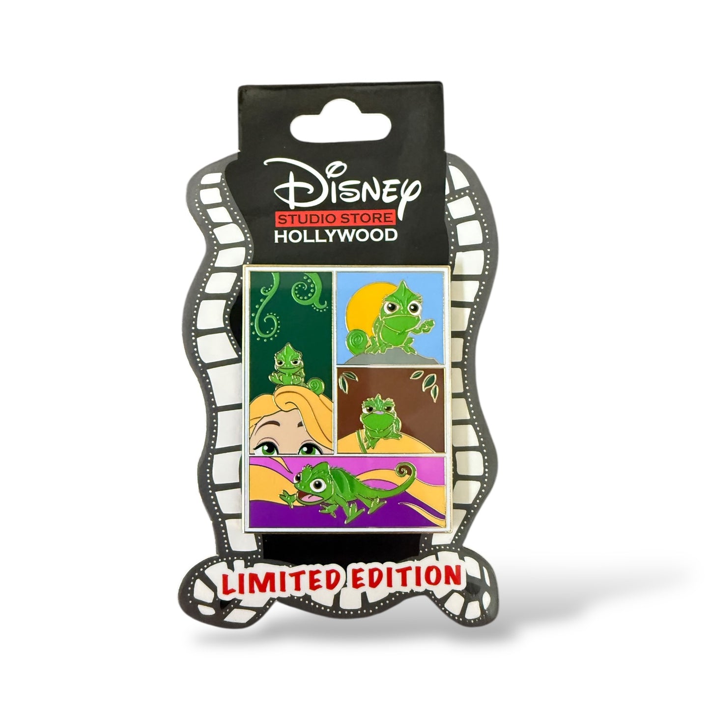 DSSH Tangled Photographs Pascal Pin