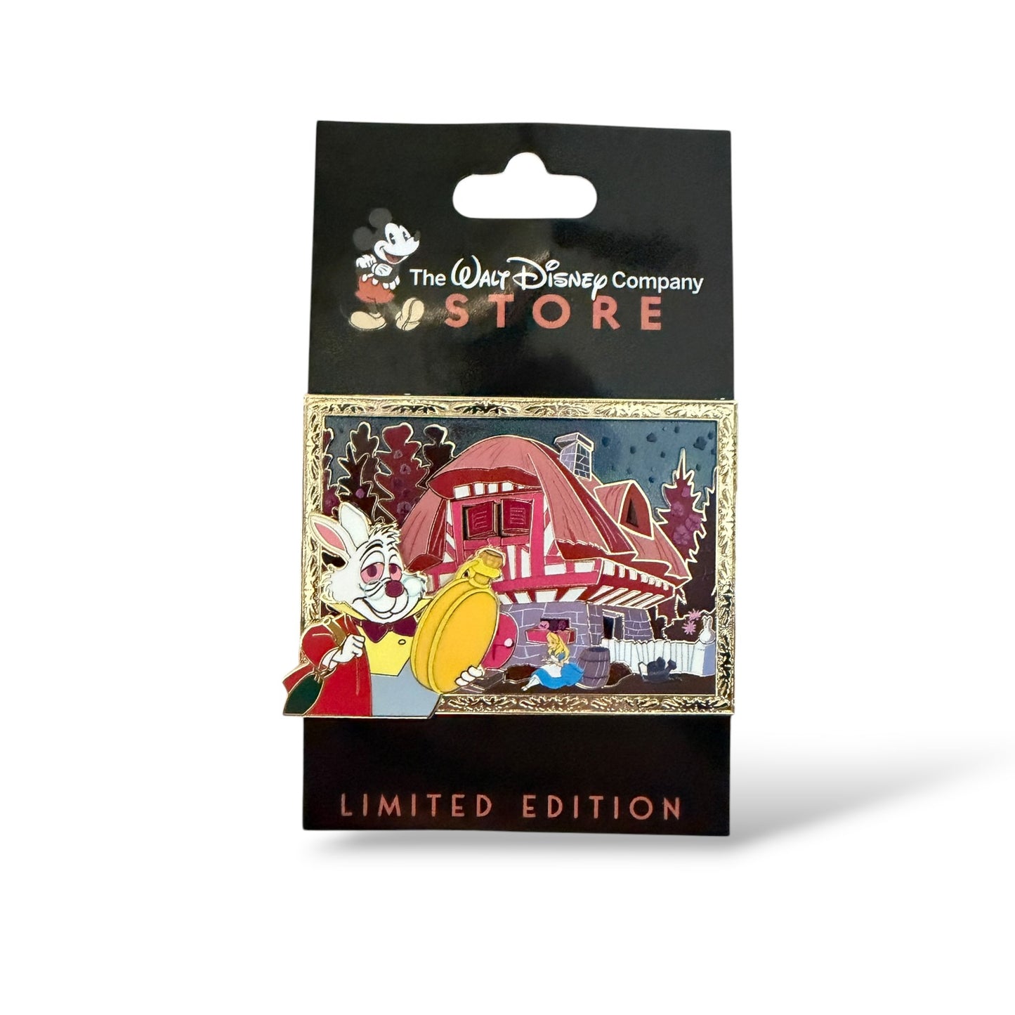 DEC Welcome Home White Rabbit Pin