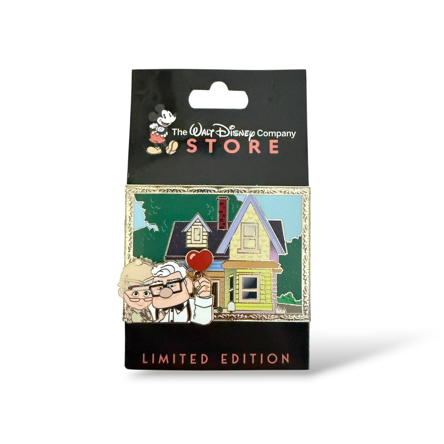 DEC Welcome Home Carl and Ellie Pin