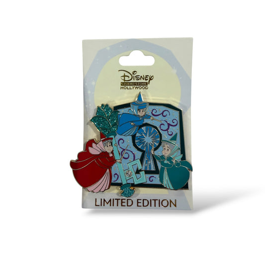 DSSH Unlocking The Magic Sleeping Beauty Hinge Pin
