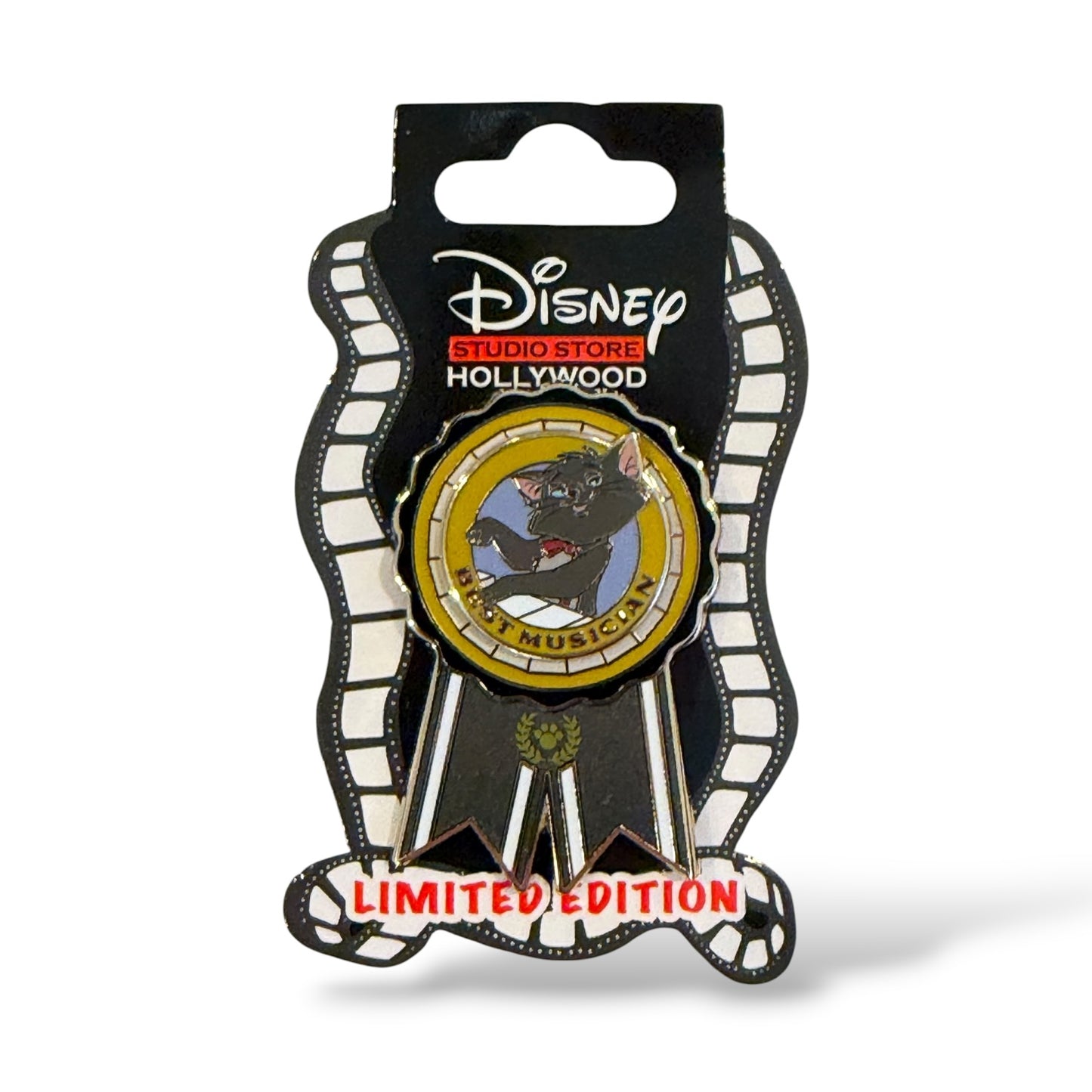 DSSH Best of Show Ribbons Berlioz Best Musician Pin