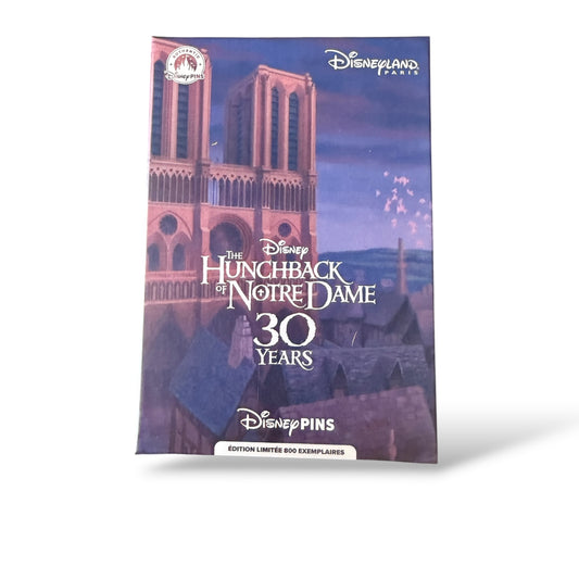 DLRP Hunchback of Notre Dame 30th Anniversary Cast Cluster on the Tower Jumbo Pin