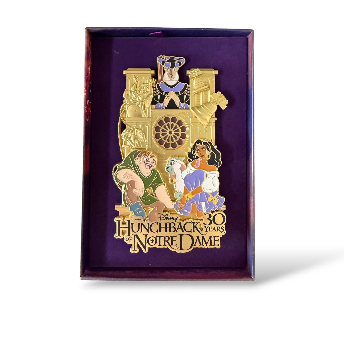DLRP Hunchback of Notre Dame 30th Anniversary Cast Cluster on the Tower Jumbo Pin