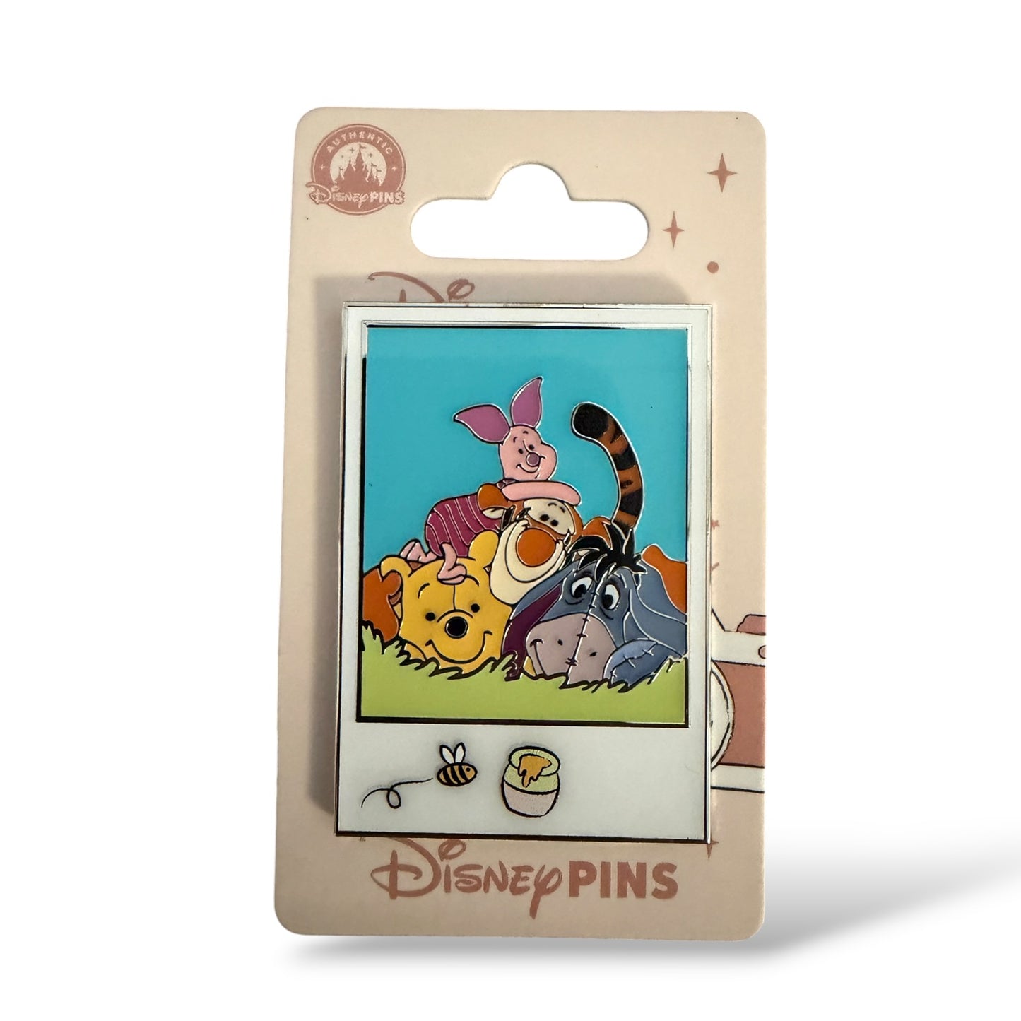 DLRP Polaroid Pictures Series Winnie The Pooh and Friends Pin