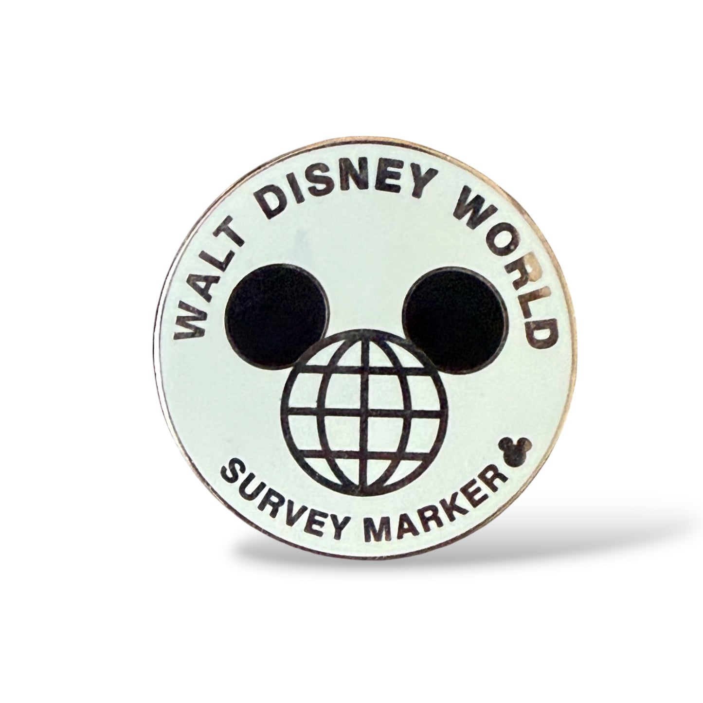 Cast Lanyard Fun Icons Survey Marker Hidden Mickey Pin
