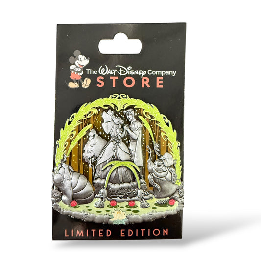 DEC Water Fountains The Princess and The Frog Pin