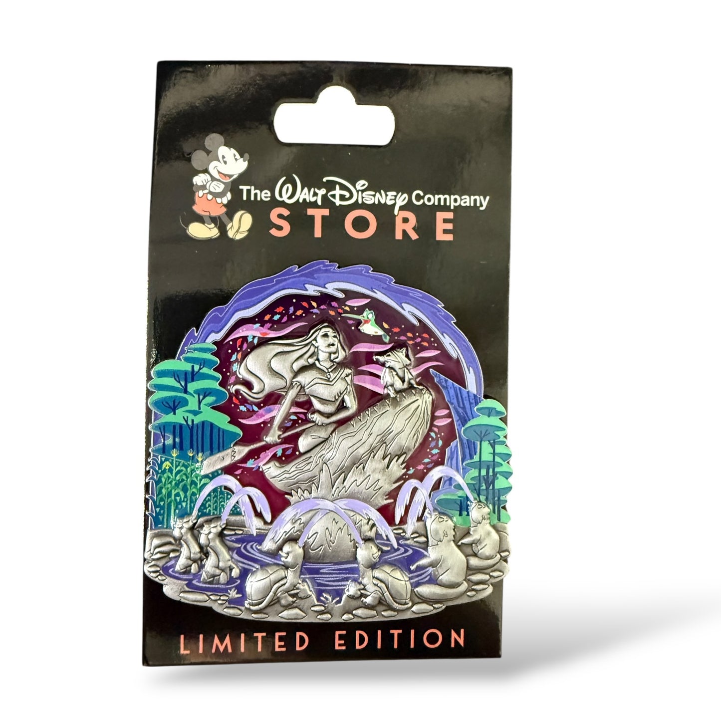 DEC Water Fountains Pocahontas Pin
