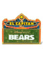 DSSH Bears Marquee Pin