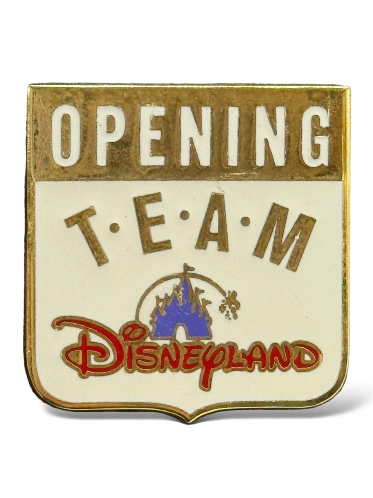 HKDL Opening Team Banner Pin