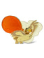 DSSH Winnie The Pooh Balloons Owl Pin