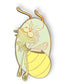 Disney Shopping Princess and The Frog Ray Pin