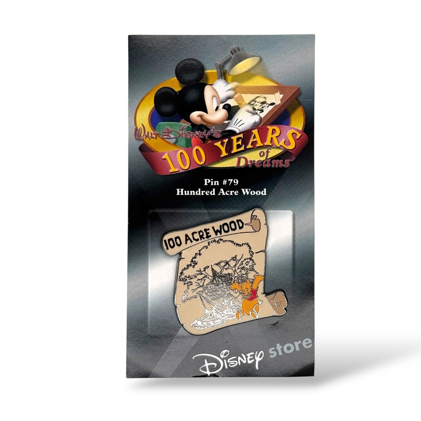 Disney Store 100 Years of Dreams Hundred Acre Wood Pin