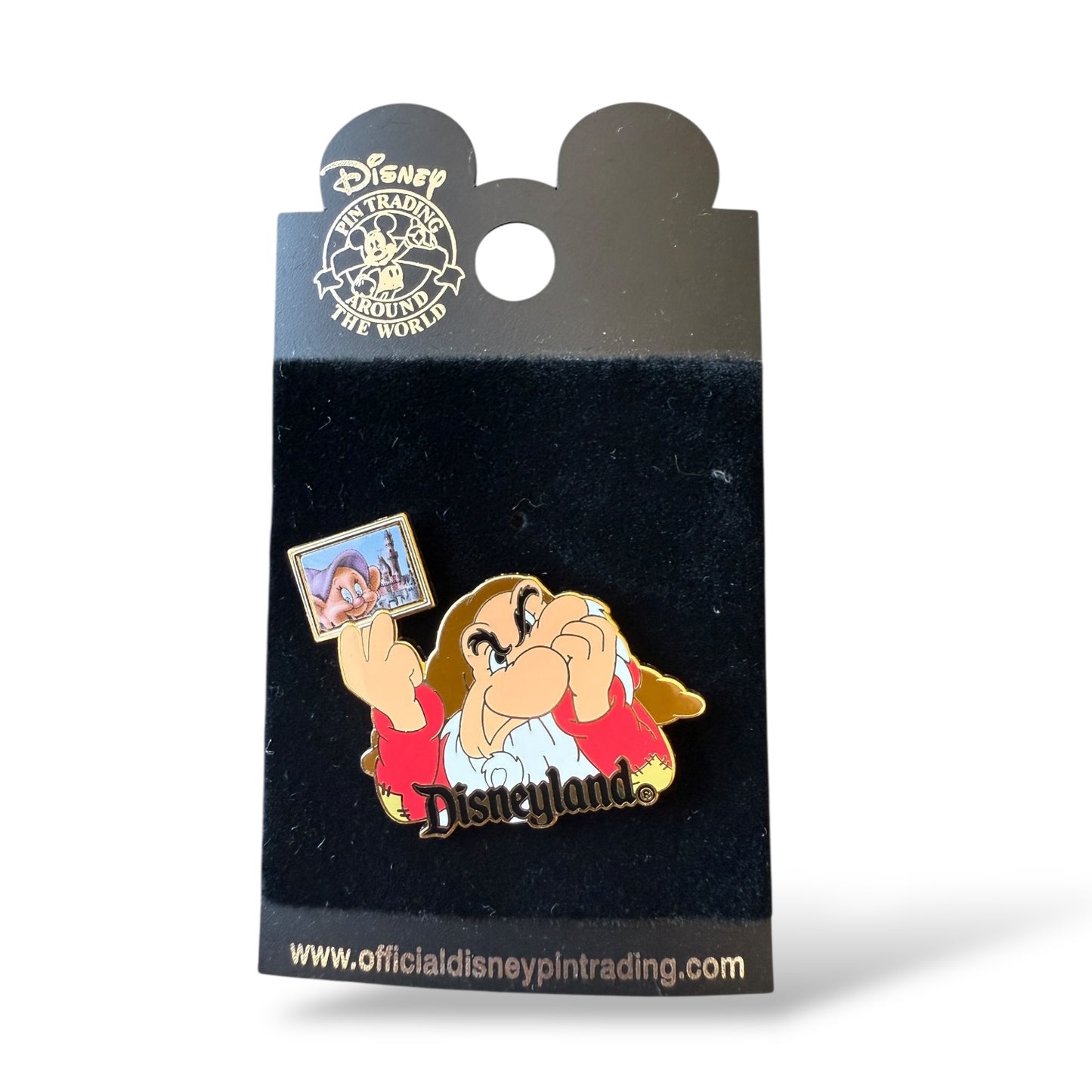 DLR Disneyland Photo Grumpy Pin
