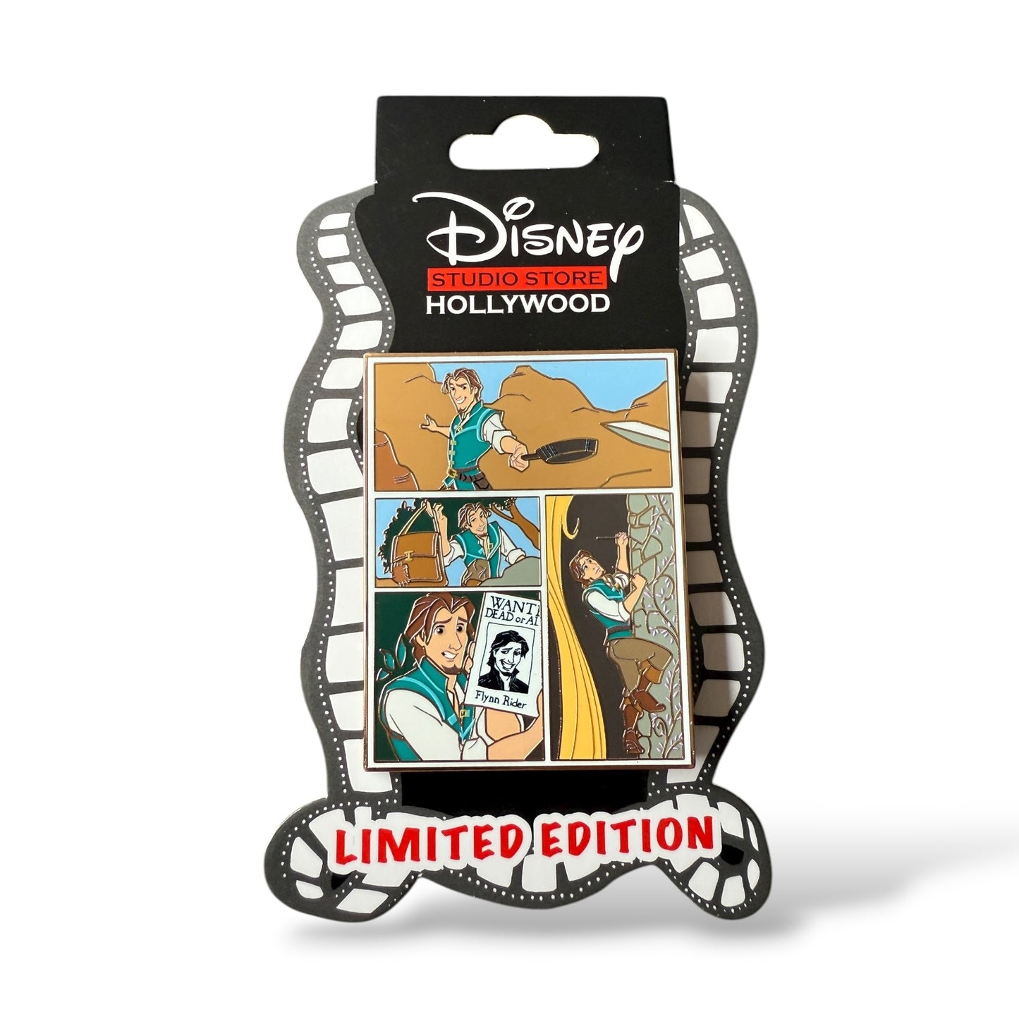 DSSH Tangled Photographs Flynn Rider Pin