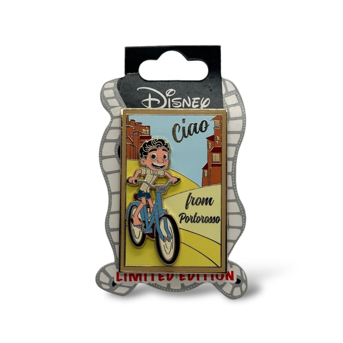 DSSH Postcard Luca Pin