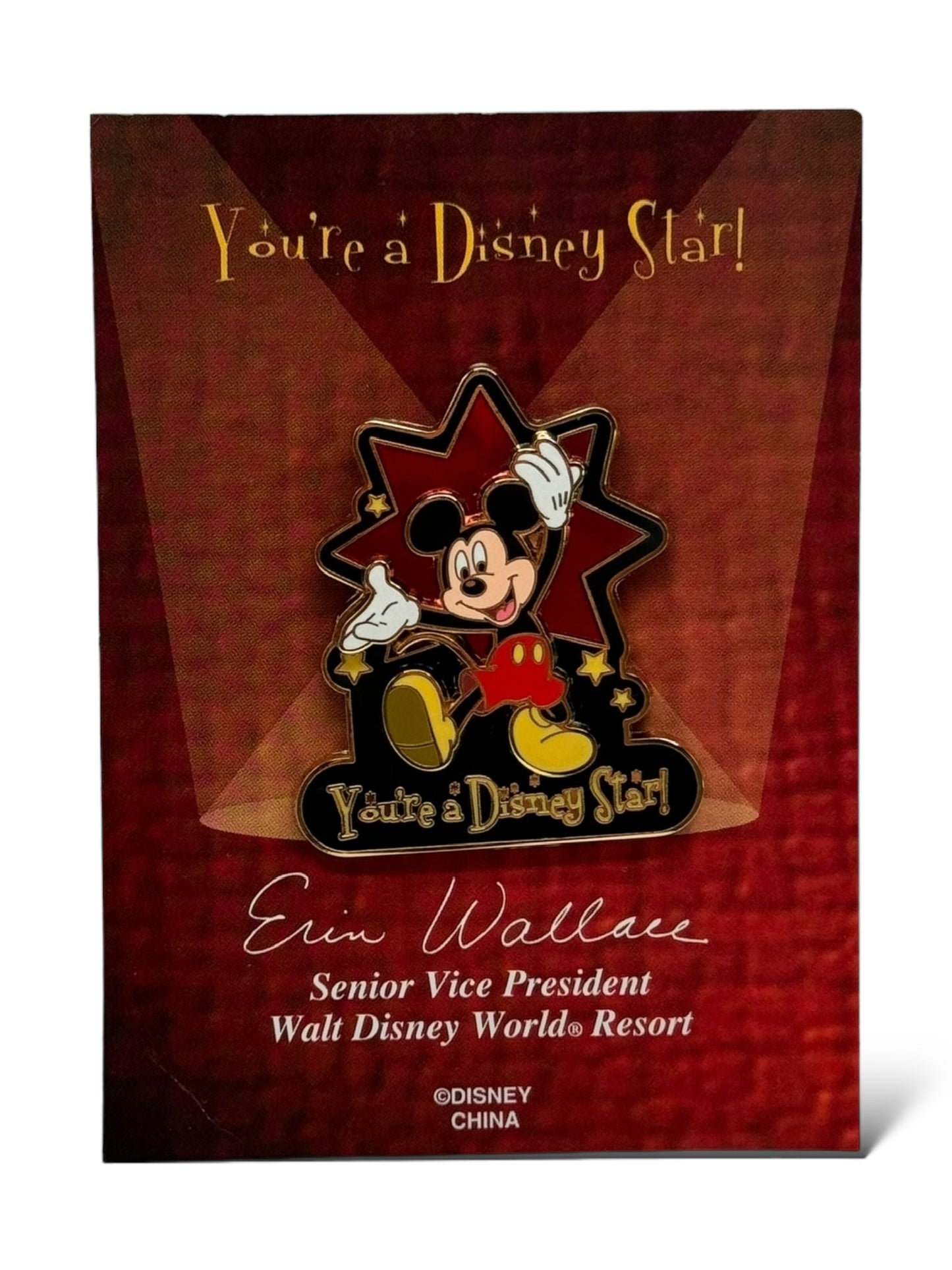 DEC Mickey & Castle You're A Disney Star Cast Award Pin