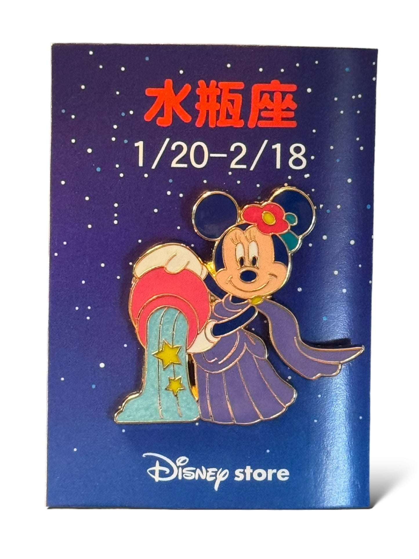JDS Zodiac Minnie Aquarius Pin
