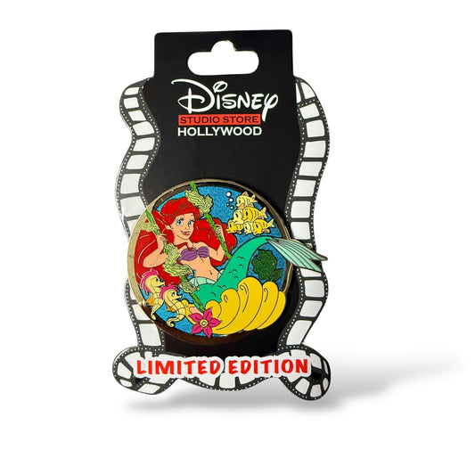 DSSH Spring Swings Ariel Pin