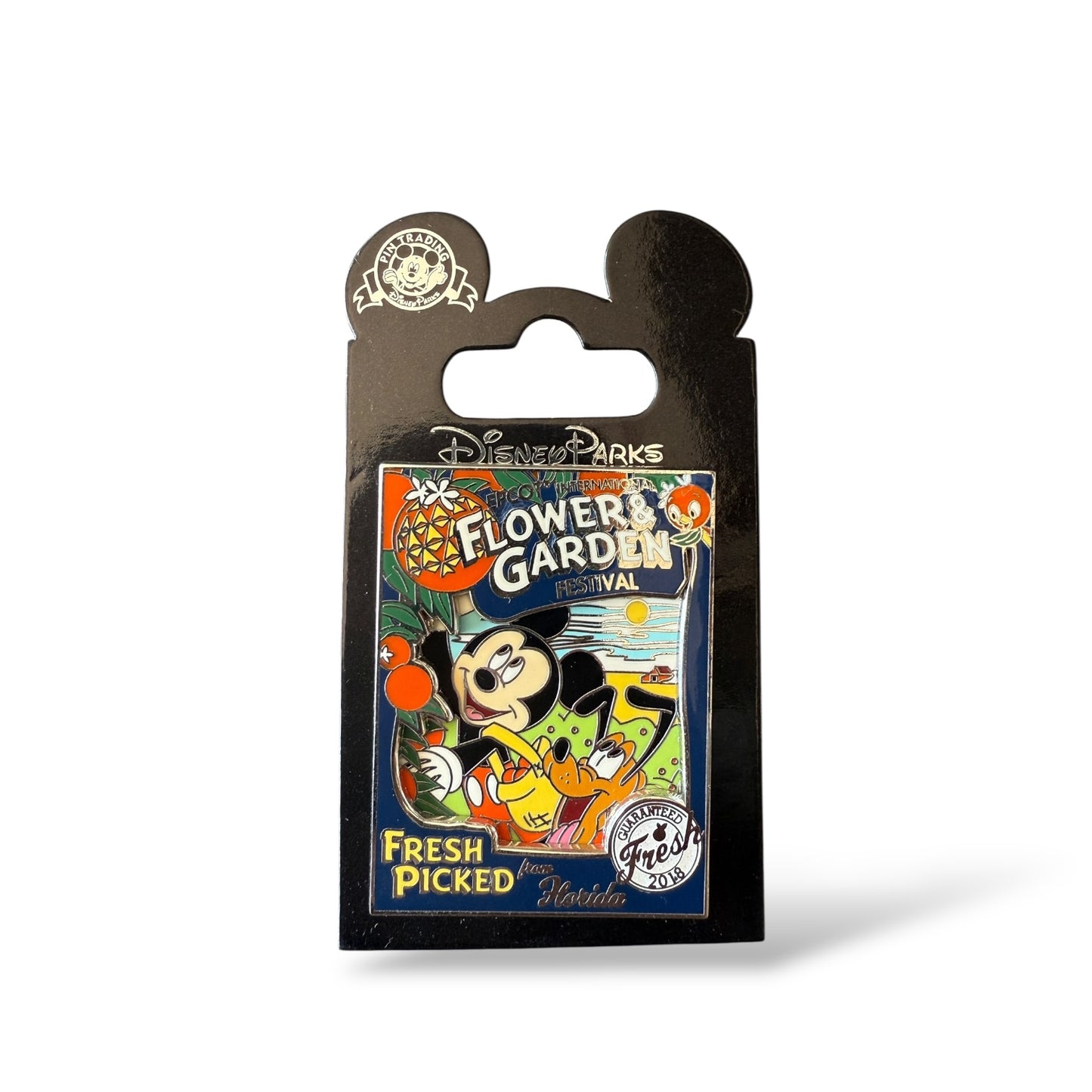 WDW Epcot International Flower & Garden Festival 2018 Mickey and Pluto Pin