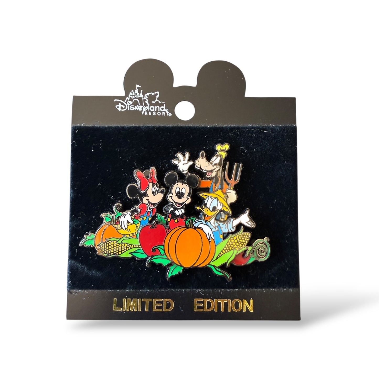 DLR Fab 4 in the Pumpkin Patch Pin