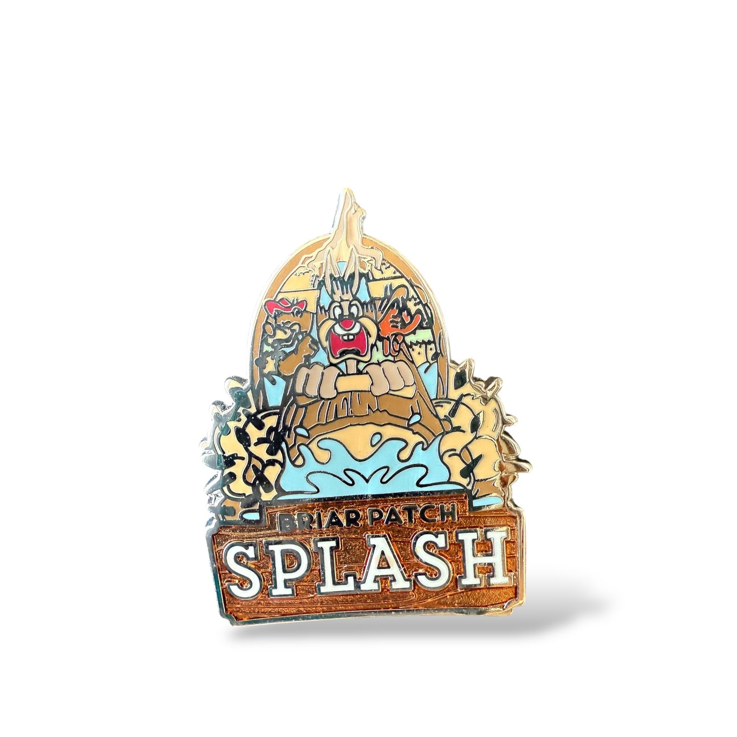DLR Disney Mascots Mystery Briar Patch Splash Pin
